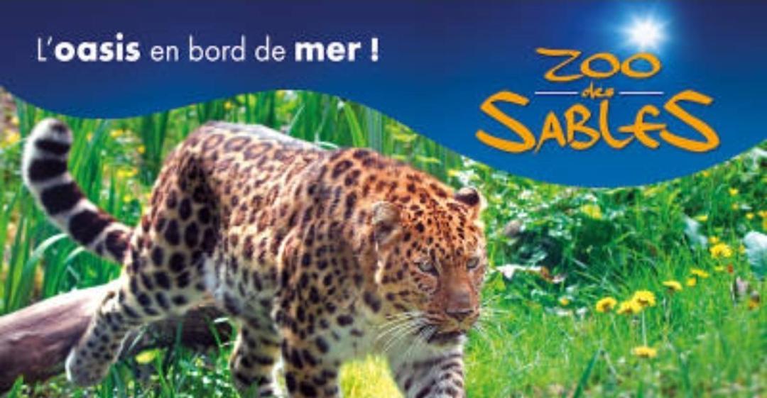 Remblai Des Sables D'Olonne - 2 Chambres - Parking Et Piscine เลส์ซาบล์-โดล็อนน์ ภายนอก รูปภาพ